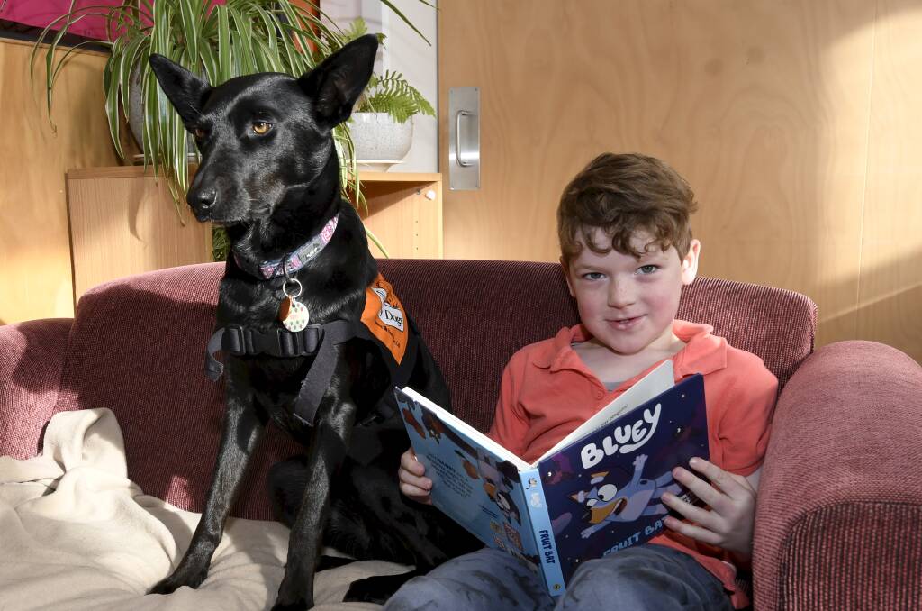 Meet the kelpie helping these primary school pupils with their reading