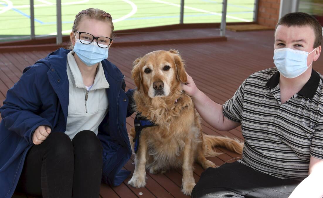PUPPY LOVE: Berry Street School's therapy dog Phoebe with students Gemma and Toby. Picture: Lachlan Bence