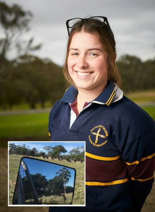 FARMING: Damascus College student Celeste Towers is completing an agriculture apprenticeship and dreams of a life on the land. Inset: her "office". Picture: Luka Kauzlaric
