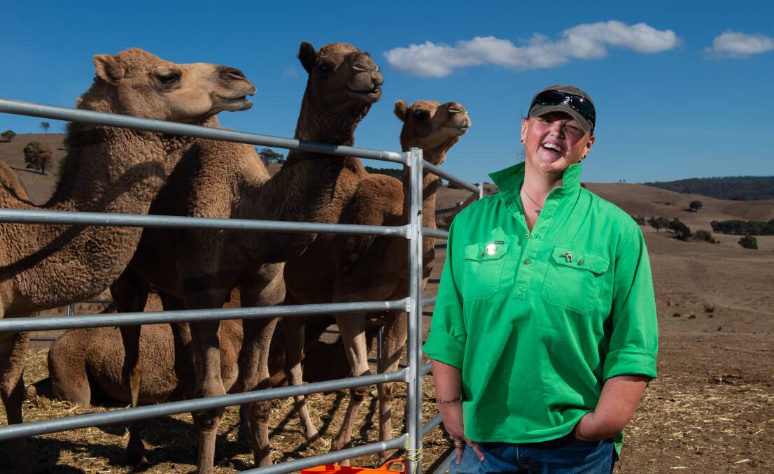 CAMELS: Sally Millard and the sanctuary's current residents. Picture: Adam Trafford