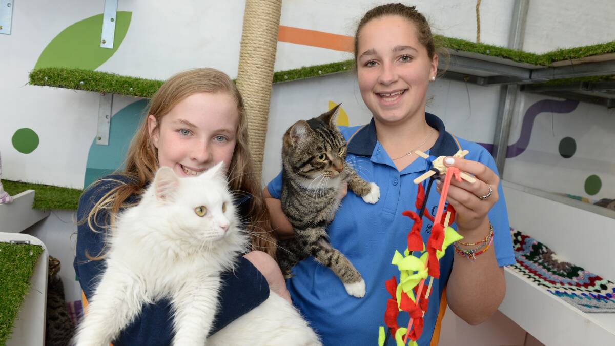PLAYFUL: Charli Russell, 12, and Maddy Coffey, 12 drop off their handmade toys at the Ballarat Animal Shelter. 