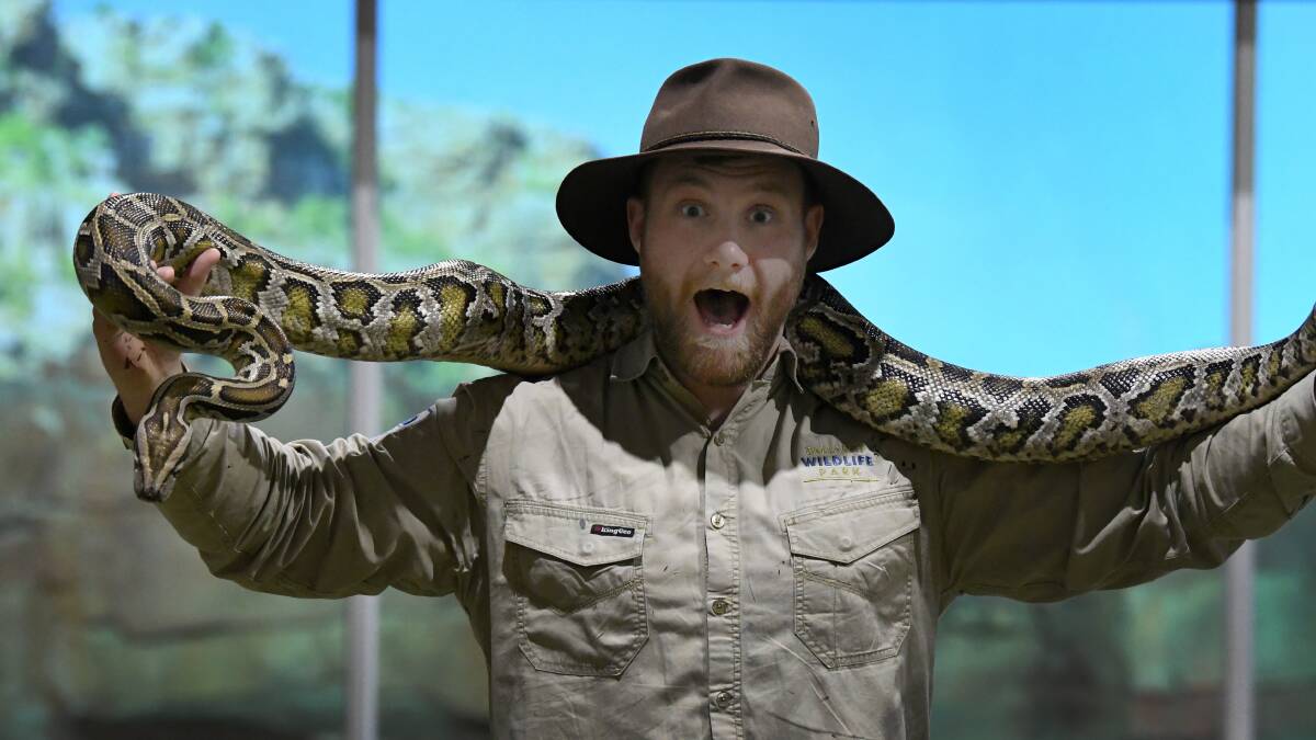 SLITHERY: Keeper Riley Morris with Bindi the Burmese python at the Ballarat Wildlife Park.