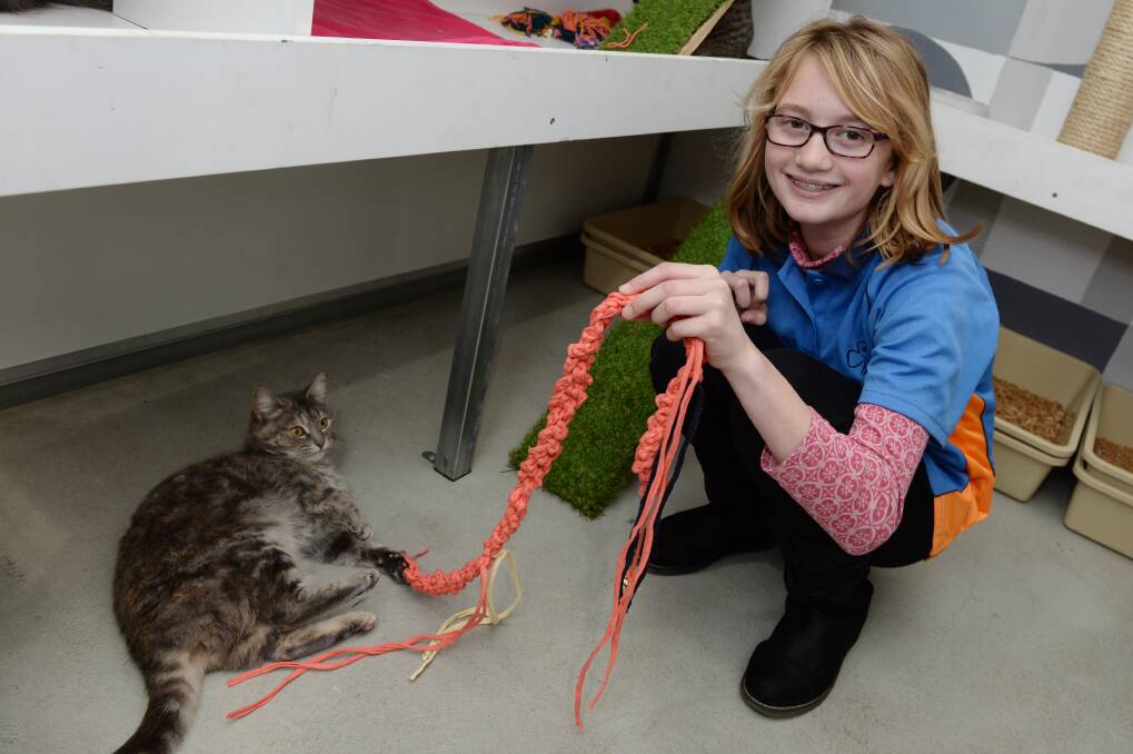 CUDDLY: Demi Schaper, 12, at the Ballarat Animal Shelter on Wednesday.