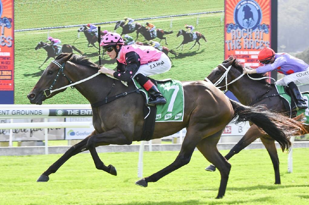 Flying Rani will be in for a shot at winning Race 3 at Wyong on Wednesday, November 29. Photo by Bradley Photos. 