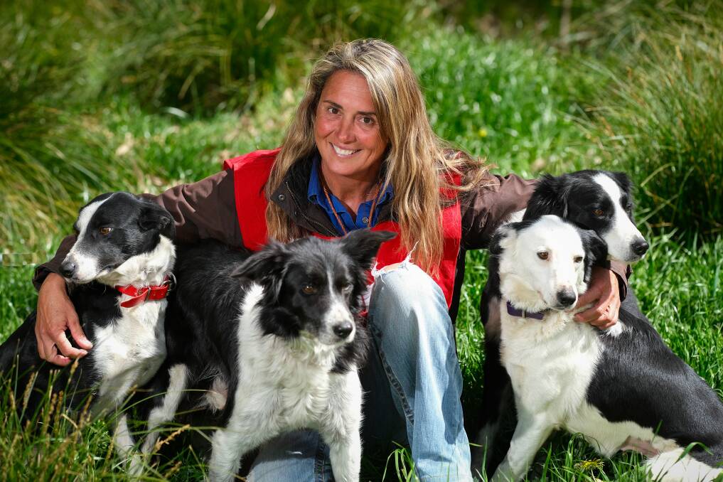 Julie Birkett with her tribe of working dogs are enjoying a relaxed training schedule with many competitions cancelled this year.