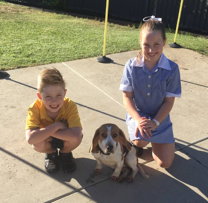 NEW FAMILY ADDITION: Liam and Emerson O'Gorman cannot stop smiling since the arrival of their new pet, Bailey, which was found wandering aimlessly around a Halls Gap lookout two weeks ago. 