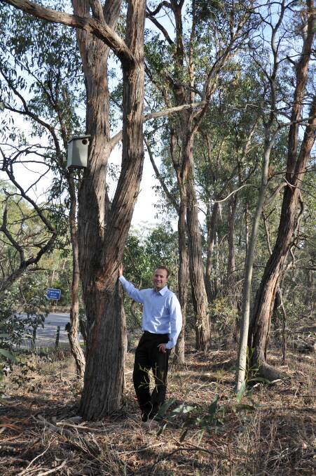 VicRoads' project team leader Bart Popielczyk with a nest box installed along the Western Highway.