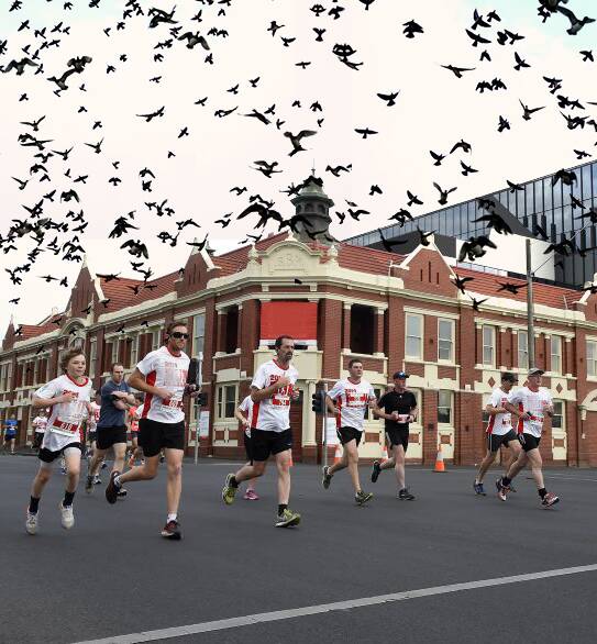 Run for your lives: This digitally altered image shows what Ballarat could look like under siege of an Indian Myna plague.