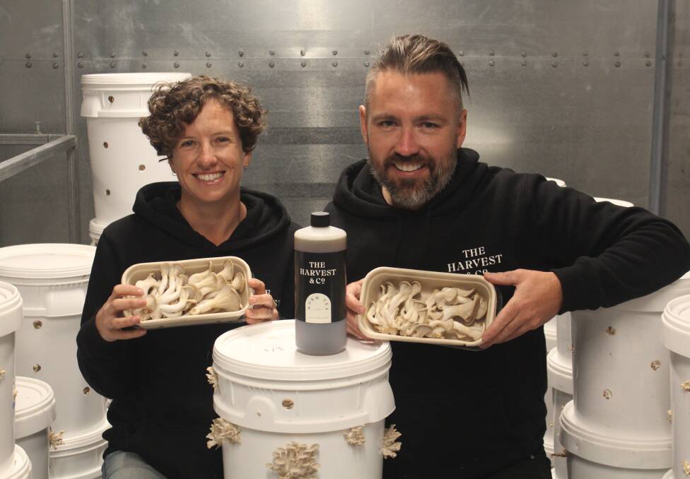 Couple grow farm dream with gourmet mushrooms