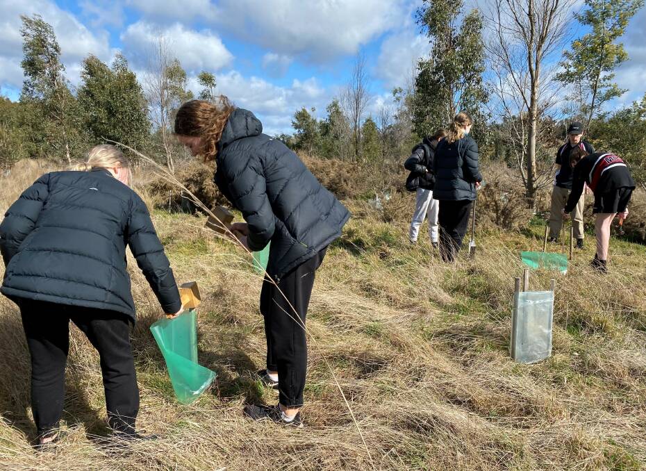 HELPING HAND: Mount Clear College Year 9 and 10 outdoor education students helped plant trees and do maintenance work at Union Jack Creek. Pictures: Leigh Catchment Group 