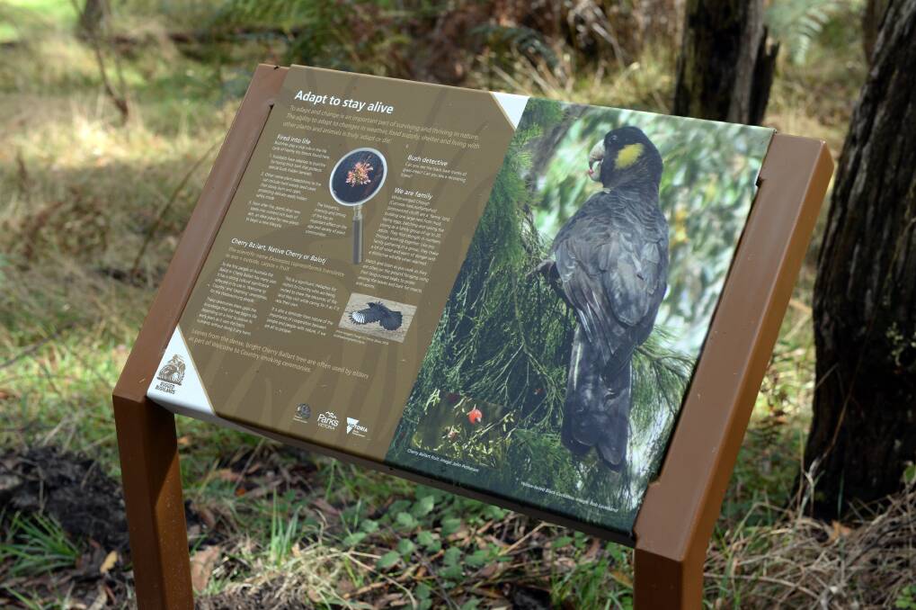 New signage installed on the Grass Tree Trail provides educational opportunities for park users. 