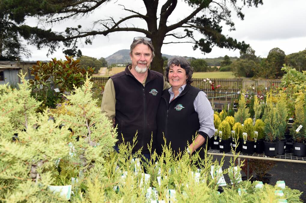 GROWING FAST: Lisa Seville and Neville Quick have worked tirelessly to realise their dream of opening a nursery in Navigators. Pictures: Kate Healy 