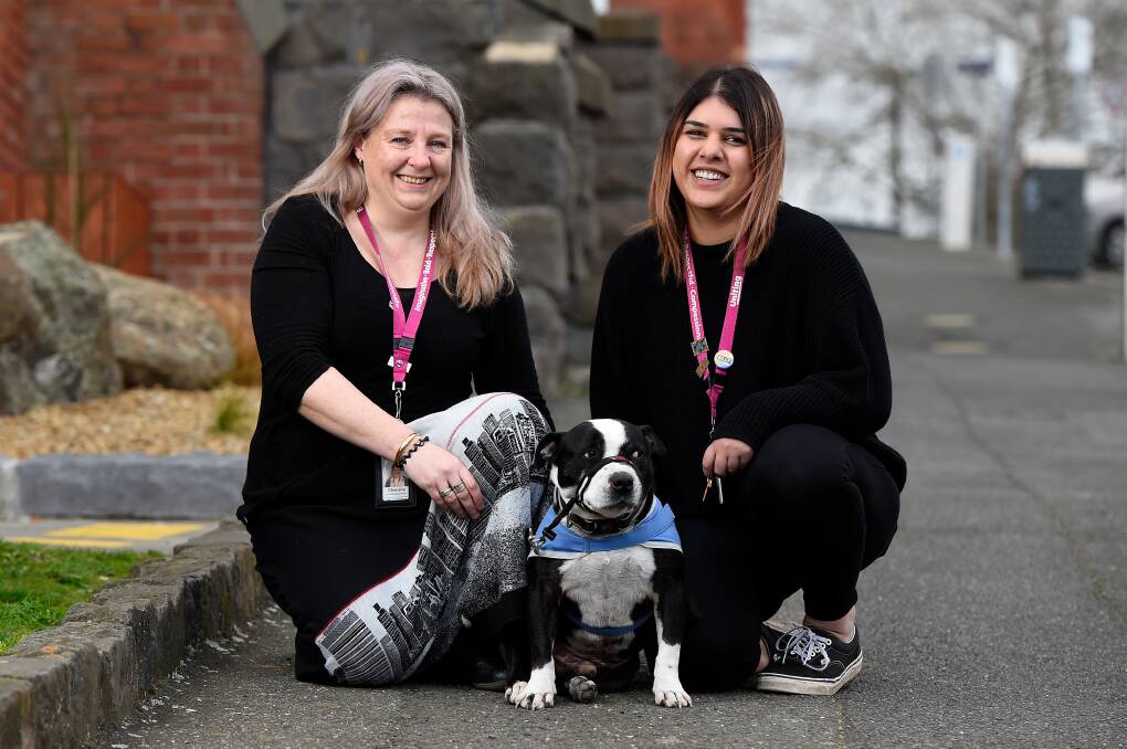CALM: Street 2 Home case co-ordinator Chanelle Burns, Street 2 Home assertive outreach worker Kate Dharumasena with therapy dog Dyson. Picture: Adam Trafford 
