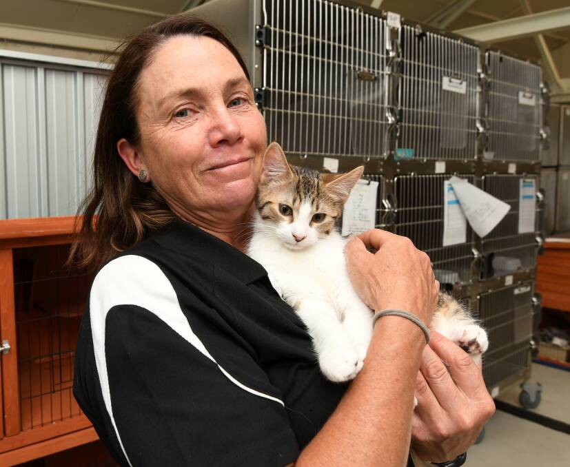 Kathryn Doroshenko-Pempel, Ballarat Animal Shelter manager with kitten Kite. Picture: Lachlan Bence 