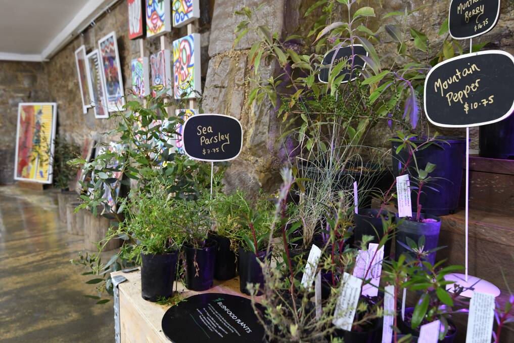 GROW YOUR OWN: Plants are for sale in the cellar store, which is part of driving the bush foods revival and push to create a stronger Australian food identity. 
