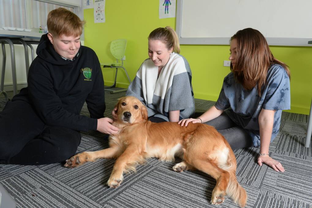 CALM: Alex, Samantha Walkerden and Angel with assistance dog Phoebe at Berry Street School. Picture: Kate Healy

