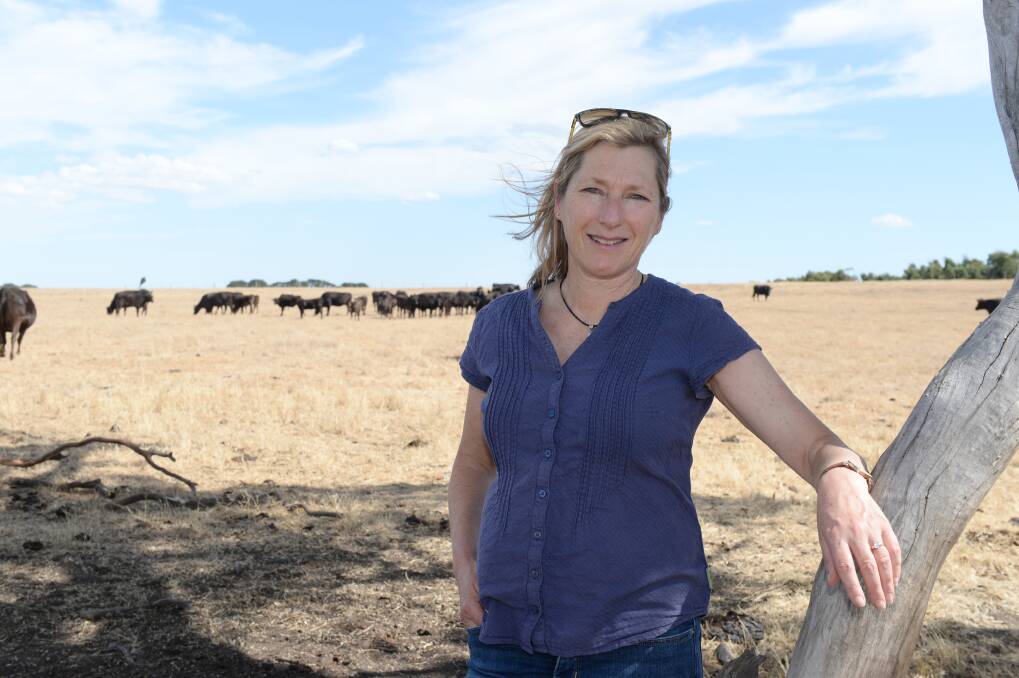 FROM THE LAND: Sher Wagyu co-owner Vicki Sher on the family's property in Ballan that holds 700 of their 10,000 Wagyu cattle. Picture: Kate Healy 