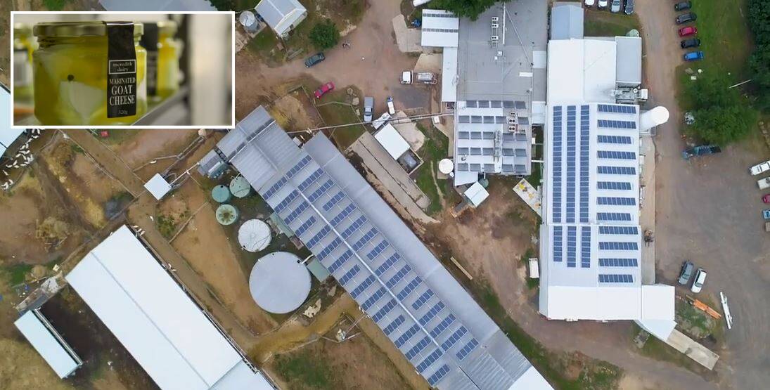 SOLAR: Meredith Dairy is powered 100 per cent by renewable energy. Picture: Climate Council
