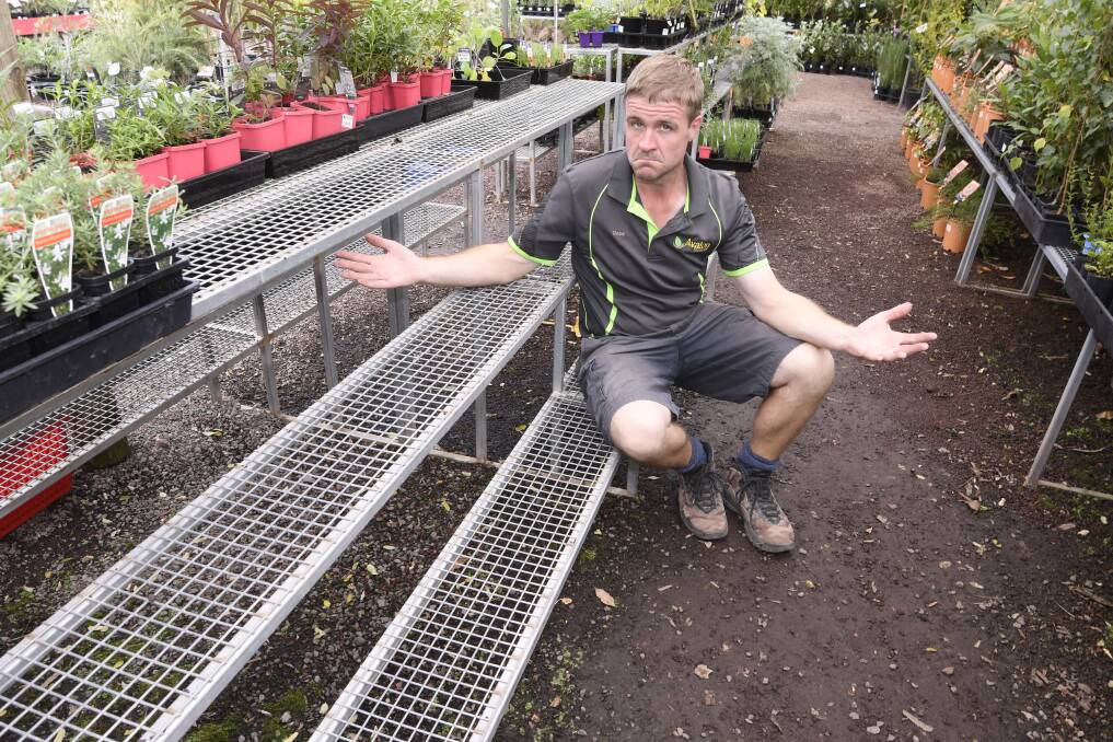 PANIC BUYING: Avalon Nursery owner David Winters says the nursery is running low on stock of vegetable seedlings. Picture: Lachlan Bence
