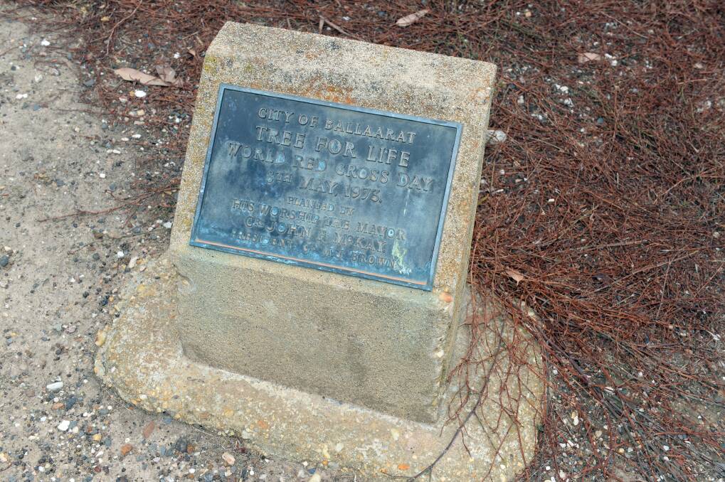 The plaque at the site of the 'Tree For Life'. 