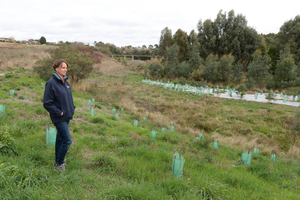 REVITALISED: Leigh Catchment Group environmental projects officer Jane Bevelander stands where indigenous plants will improve biodiversity. Removing weeds and planting natives was a priority of the Yarrowee River project, with a focus at the Mt Pleasant area. Picture: Kate Healy