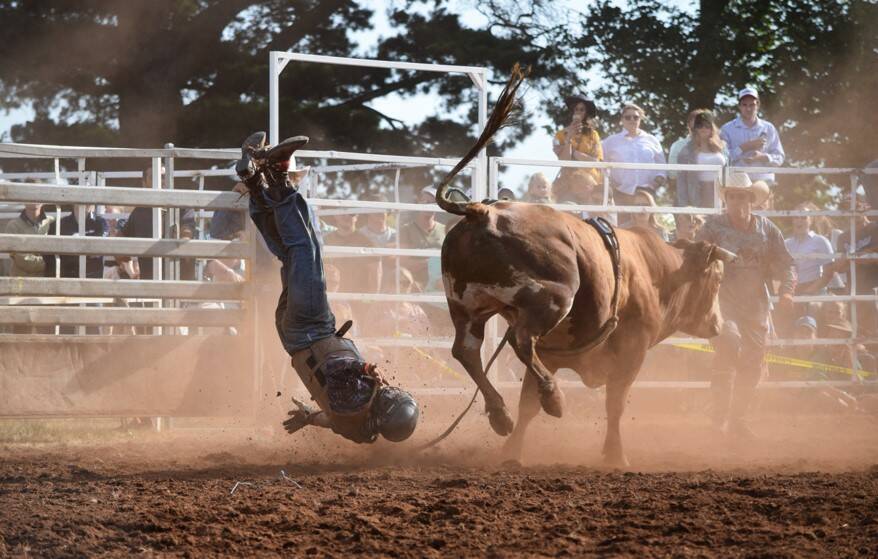 BIG BUCKS: Competitors traveled from around Australia to compete in the Kingston Rodeo in front of a crowd of thousands. Picture: Peyton Hope Photography