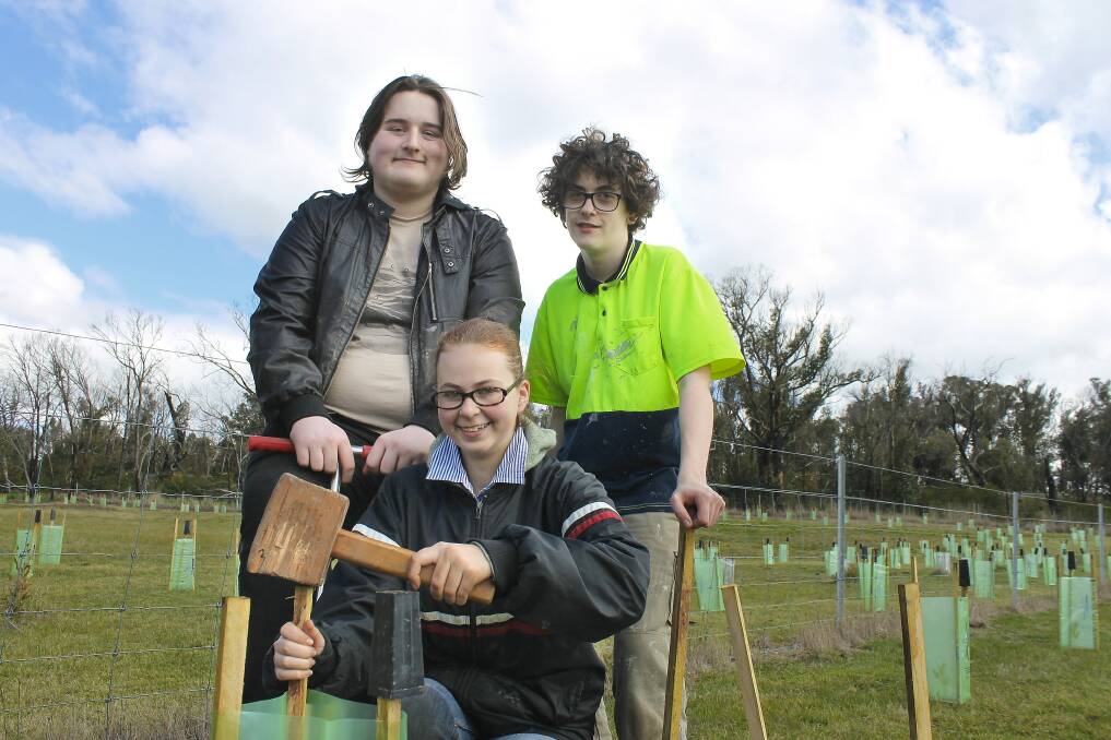 REJUVENATE: Mount Clear Secondary College year 10 outdoor and environment students Gwen Anderson, Nick McDonald, and Connor Chappell help plant at a property in Clarendon. Picture: Rochelle Kirkham 