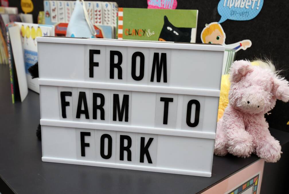 SOURCE OF FOOD: From farm to fork is prep pupils' five week focus. Picture: Kate Healy 