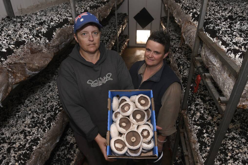 FARM GATE: Monique and Tanya Lunn have opened up their farm gate to customers at Ballarat Mushroom Farm in a bid to survive the current health crisis. Picture: Lachlan Bence 