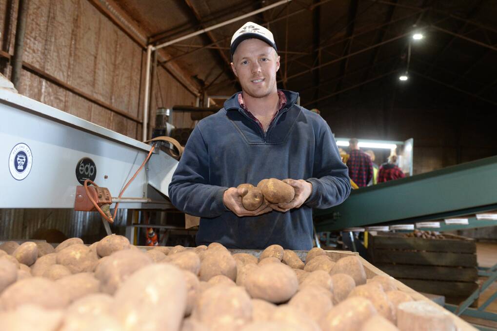 RESOURCEFUL: Doonaree Farming potato farmer Jack Owen with potatoes that will be donated to the Ballarat Foundation's rescue food dinner. Picture: Kate Healy 