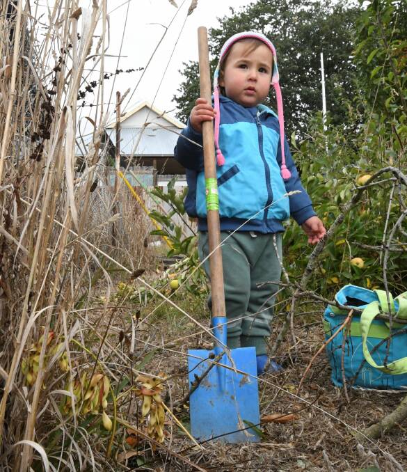 One-year-old Maya Hallett helps in the garden. Picture: Lachlan Bence 