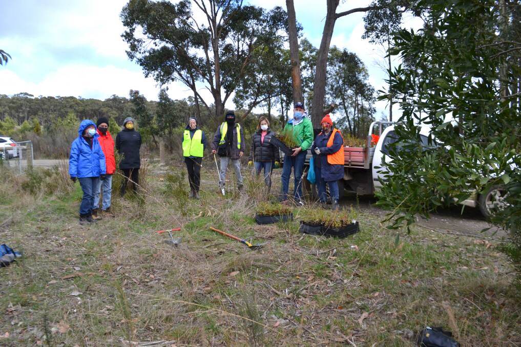 A group of tree planters at Woowookarung Regional Park on Sunday before lockdown hit Ballarat. 