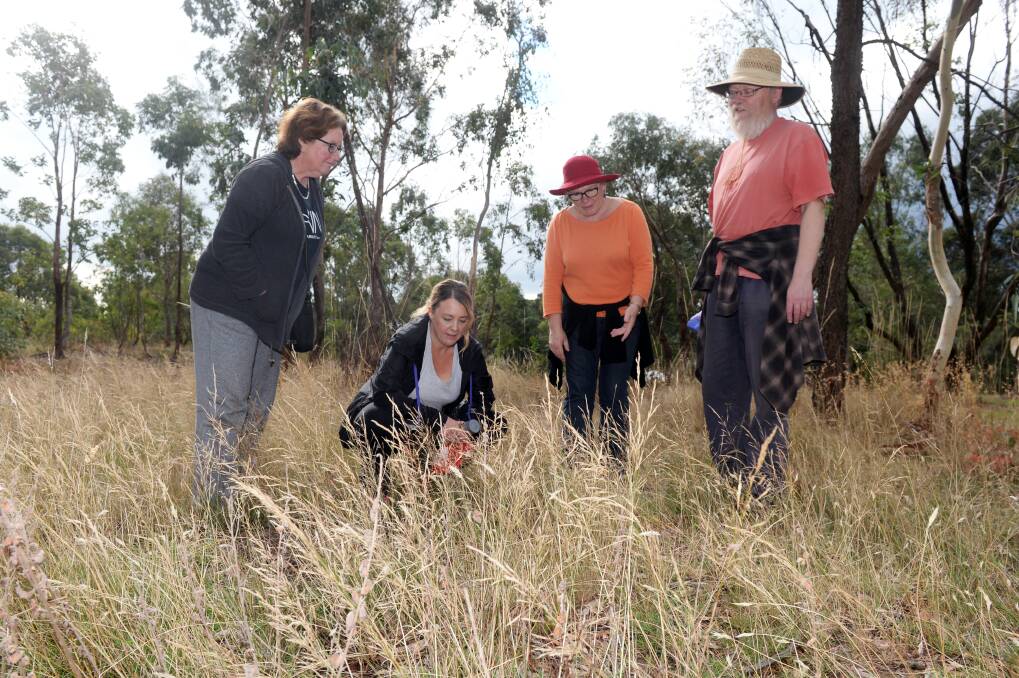 COMMUNITY PROJECTS: Friends of Black Hill Reserve members Amanda Norgate, Emma Brown, Jenni Eastwood and Neil Huybregts working at Black Hill Reserve in 2018. Picture: Kate Healy 