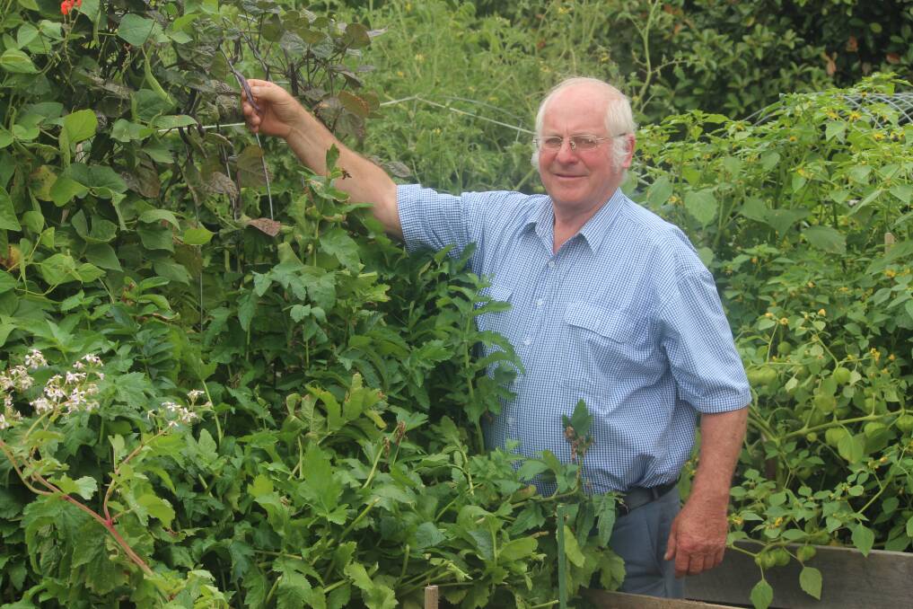 PRODUCTIVE GARDEN: Munash Organics founder Ian Munro says healthy soil is key for healthy plants and healthy people. Picture: Rochelle Kirkham 