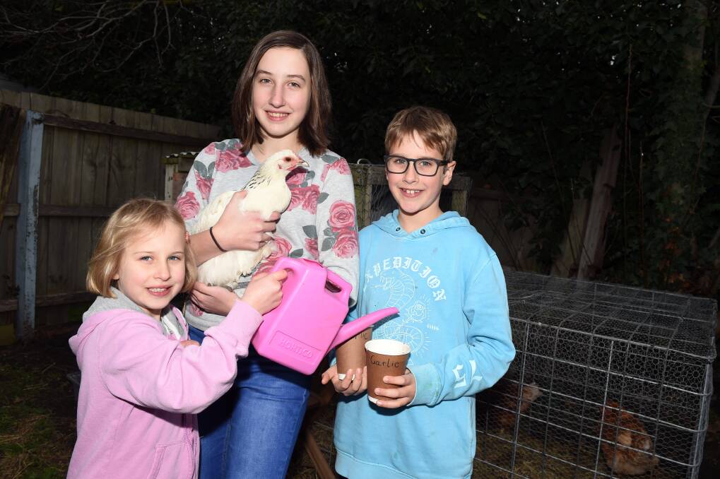 REDUCE: Charlotte, 6, Georgia, 14, and Angus, 9 are working to reduce waste in their family home. Picture: Kate Healy 