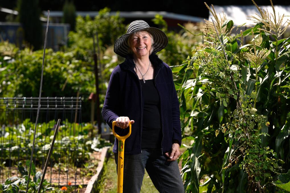 AT WORK: Ballarat Community Garden president Sheilagh Kentish will ensure the garden is looking best for the upcoming festival on Sunday. Picture: Adam Trafford 