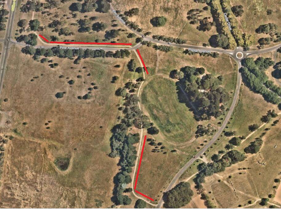 The identified area for tree planting in Victoria Park. 