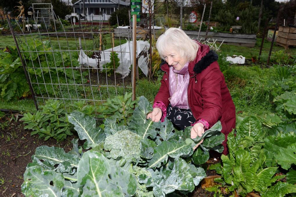 ACCESSIBILITY: Ballarat Community Garden president Sheilagh Kentish would like more people to have access to community gardens. Picture: Kate Healy 