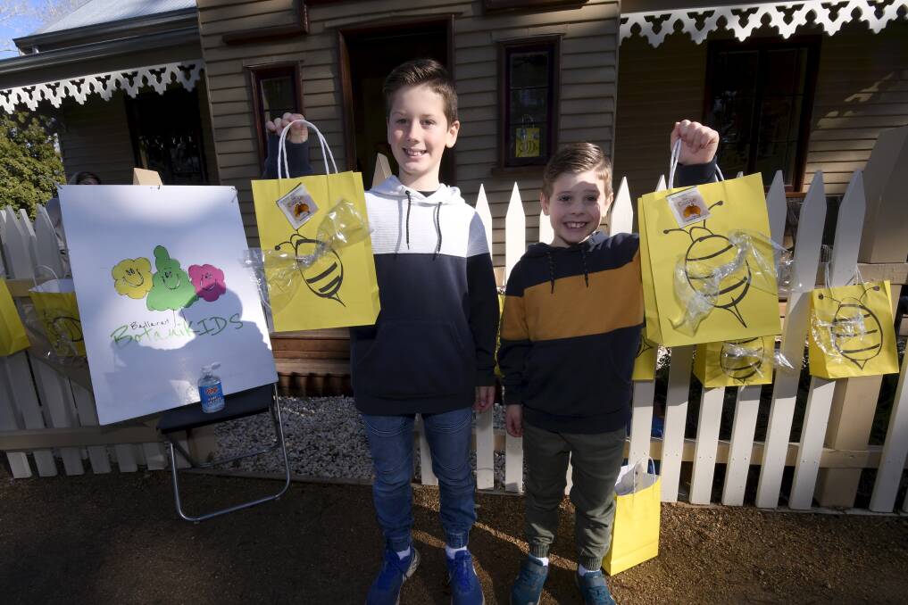 FUN LEARNING: 7-year-old Levi Martin and 10-year-old Jake Martin picked up their Bee Friendly packs from BotaniKids on Wednesday. Pictures: Lachlan Bence
