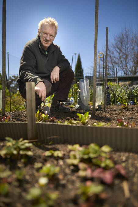 Patrick Cook has replanted his plot at the Ballarat Community Garden for the upcoming season. Picture: Luka Kauzlaric