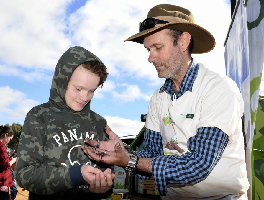 COMPOST EDUCATION: Isaac King gets his hands dirty with Captain Compost Paul Lehmann at the worm farms for children workshop in Haddon. Picture: Lachlan Bence 