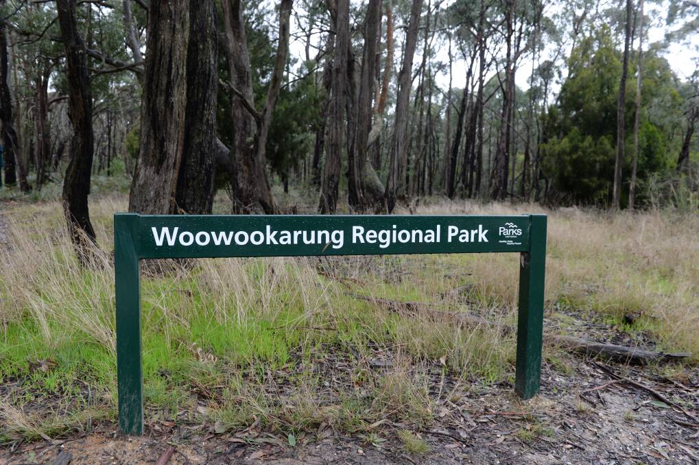 Mountain bikers anxious about losing much loved Woowookarung tracks