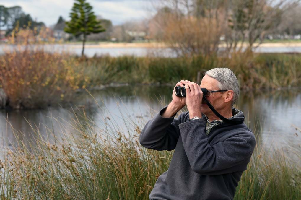 BIRD WATCHING: Roger Thomas has been observing birds at Lake Wendouree for more than 50 years. Picture: Kate Healy.
