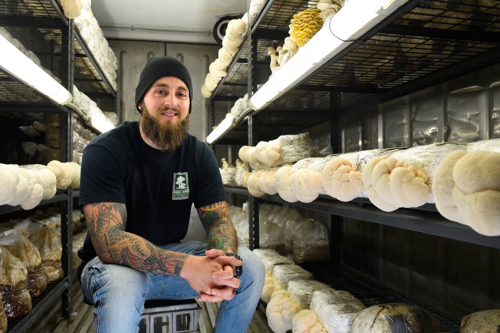 GOURMET MUSHIES: Mushroom farmer Jason Crosbie is the founder of Ballarat business The Mushroom Connection that grows alternative mushroom varieties. Pictures: Adam Trafford
