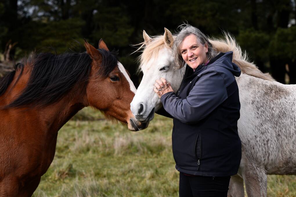 ON HOLD: Michelle O'Brien runs equine therapy at her Millbrook property. 