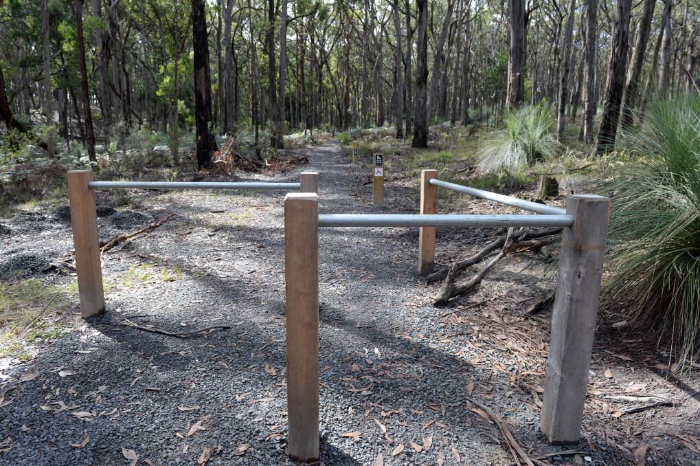 A section of the new Grass Tree Trail. 