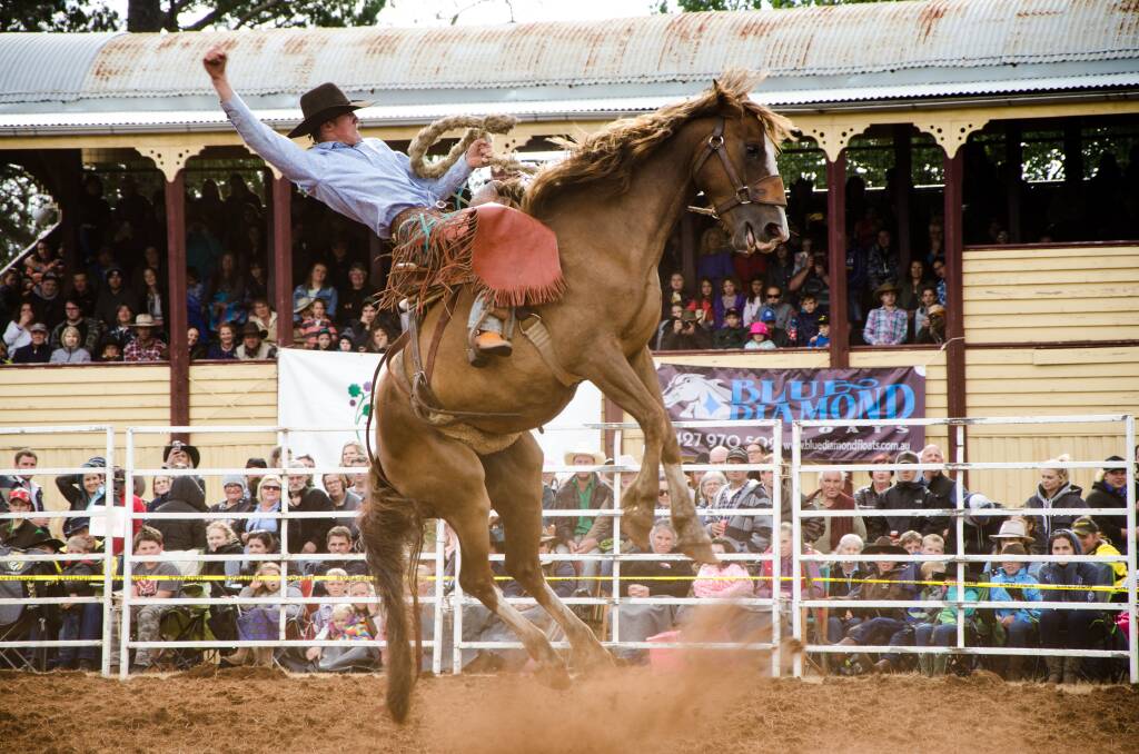 TOWN PRIDE: The Kingston Rodeo has attracted thousands of people to the Kingston Showgrounds in the past three years. Picture: Dylan Burns 