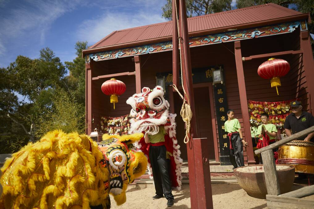 APPEAL TO CHINA: Lion dancing was performed by the Chinese Australian Cultural Society Ballarat at Sovereign Hill in February last year for Chinese New Year celebrations. Picture: Luka Kauzlaric