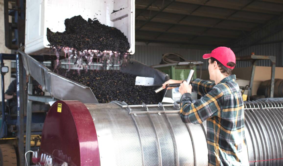 Support for region's wine industry during tough economic times