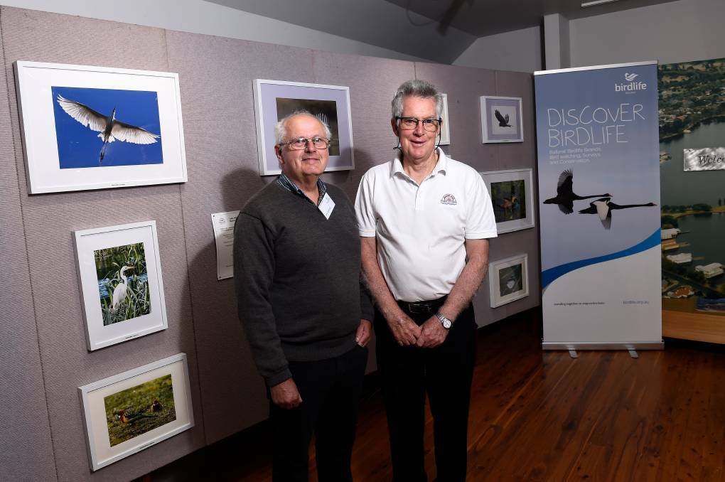 ON SHOW: Birdlife Ballarat's Ian Ashton and manager of the Lake Wendouree Museum Don Holmes launched a birdlife photo exhibition in January. Picture: Adam Trafford
